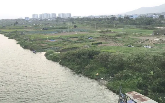 Khắc phục hư hỏng các dự án bờ hữu ven sông Sài Gòn Nam - Bắc Rạch Tra
