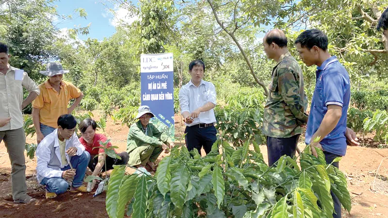 Syngenta cam kết đầu tư 2 tỷ USD vào nông nghiệp bền vững 