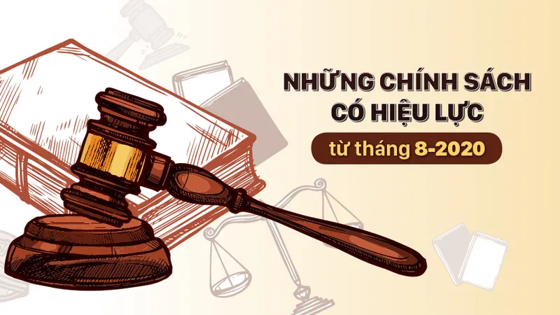 Những chính sách có hiệu lực từ tháng 8-2020