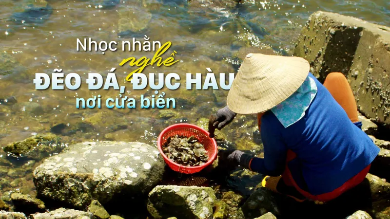 Nhọc nhằn nghề đẽo đá, đục hàu nơi cửa biển 