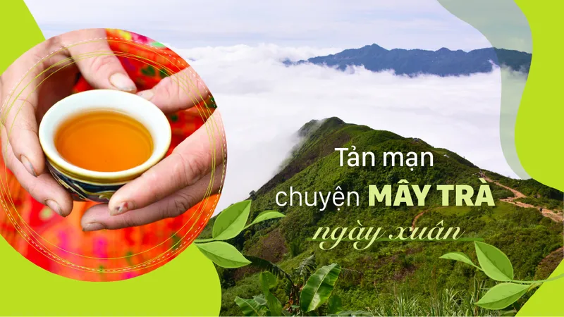 Tản mạn chuyện mây trà ngày xuân 