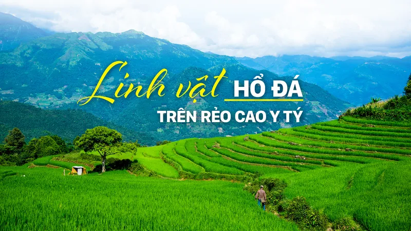 Linh vật Hổ đá trên rẻo cao Y Tý