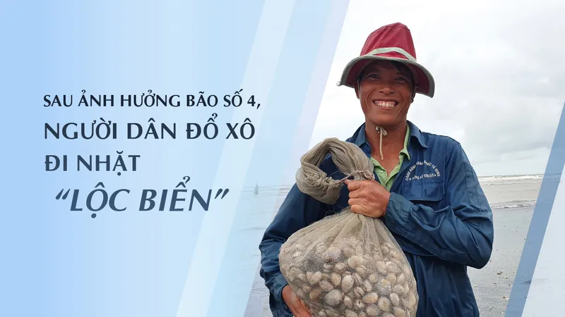 Sau ảnh hưởng bão số 4, người dân đổ xô đi nhặt “lộc biển“