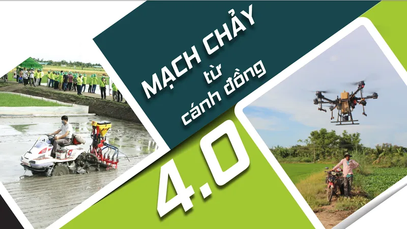 Mạch chảy từ cánh đồng 4.0