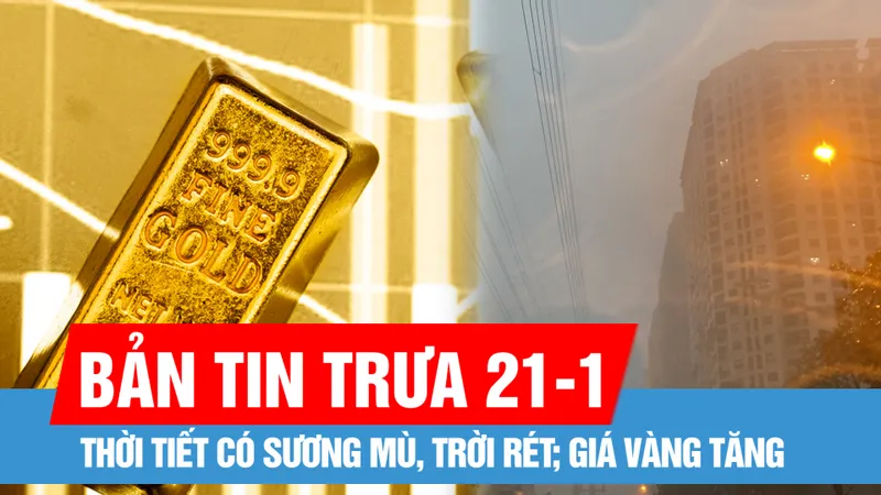 Bản tin trưa 21-1: Bắc bộ và Trung bộ có sương mù, trời rét; Giá vàng thế giới tăng sau lễ nhậm chức của tổng thống Mỹ