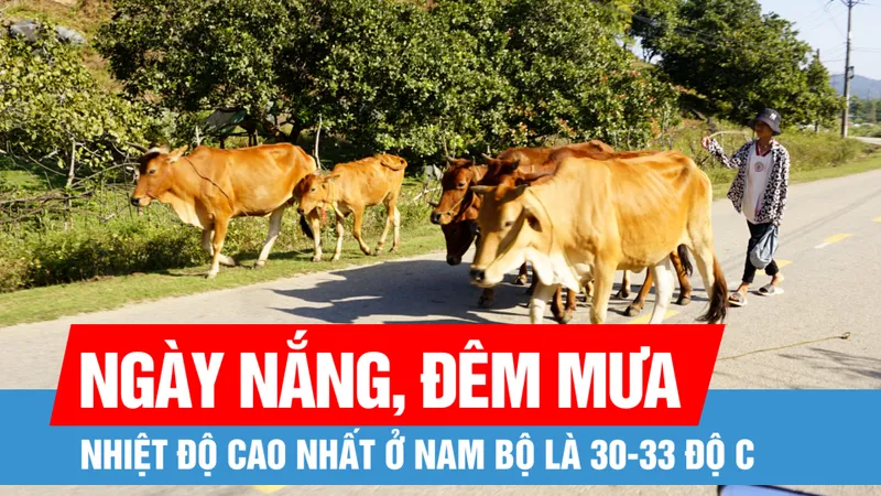 Nam bộ ngày nắng, đêm mưa