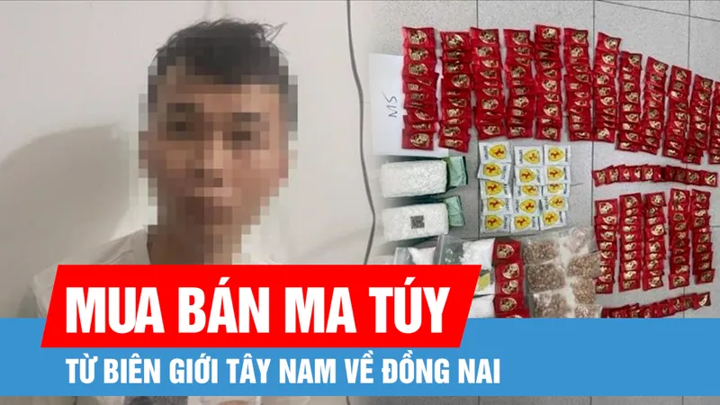 Triệt phá đường dây mua bán trái phép ma túy từ biên giới Tây Nam về Đồng Nai 