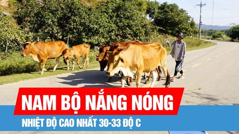 Bắc bộ mưa rét, Nam bộ nắng nóng