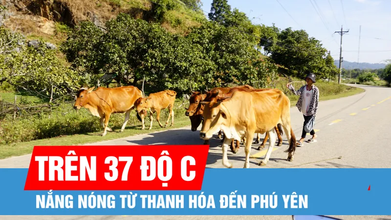 Nhiều khu vực có mưa lớn, nắng nóng từ Thanh Hóa đến Phú Yên