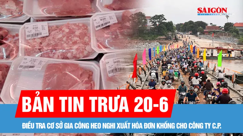 Bản tin trưa 20-6: Nối lại cầu phao Phong Châu; Điều tra cơ sở gia công heo nghi xuất hóa đơn khống cho C.P.