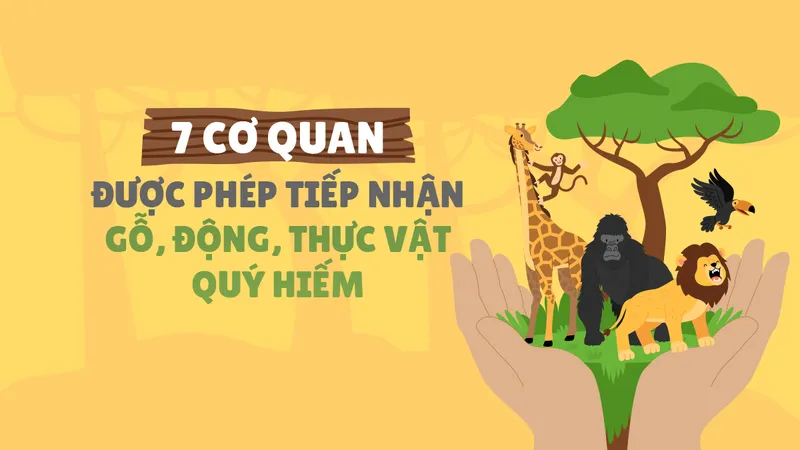 7 cơ quan được phép tiếp nhận gỗ, động, thực vật quý hiếm