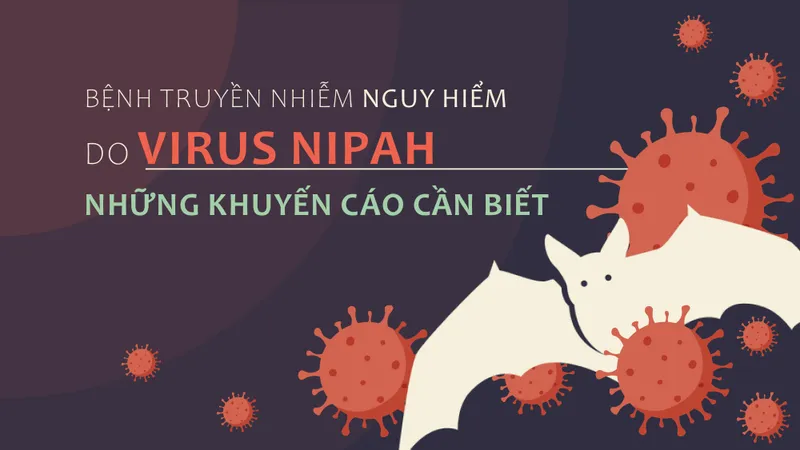 Bệnh truyền nhiễm nguy hiểm do virus Nipah - Những khuyến cáo cần biết