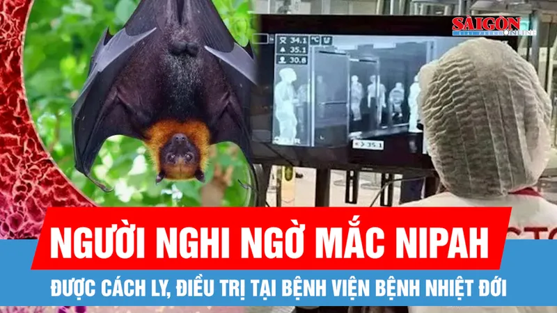 TPHCM: Người nghi ngờ mắc Nipah sẽ được cách ly, điều trị tại Bệnh viện Bệnh Nhiệt đới