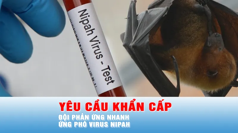 Podcast bản tin trưa 28-1: Bộ Y tế yêu cầu khẩn cấp củng cố các đội phản ứng nhanh ứng phó virus Nipah