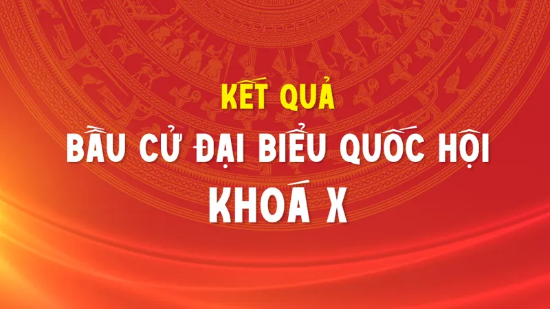 Kết quả bầu cử đại biểu Quốc hội khóa X