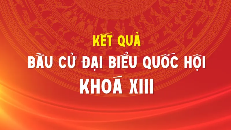 Kết quả bầu cử đại biểu Quốc hội khóa XIII