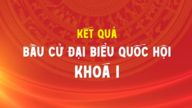 Kết quả bầu cử đại biểu Quốc hội khóa I