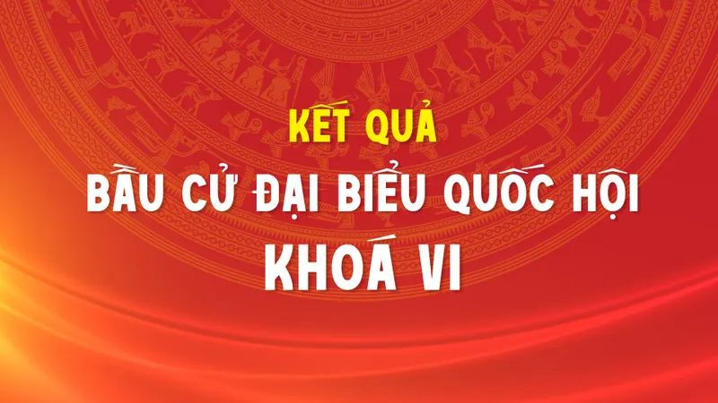 Kết quả bầu cử đại biểu Quốc hội khóa VI