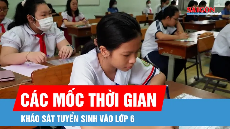 TPHCM: Thời gian và cấu trúc đề khảo sát tuyển sinh lớp 6 Trường Trần Đại Nghĩa