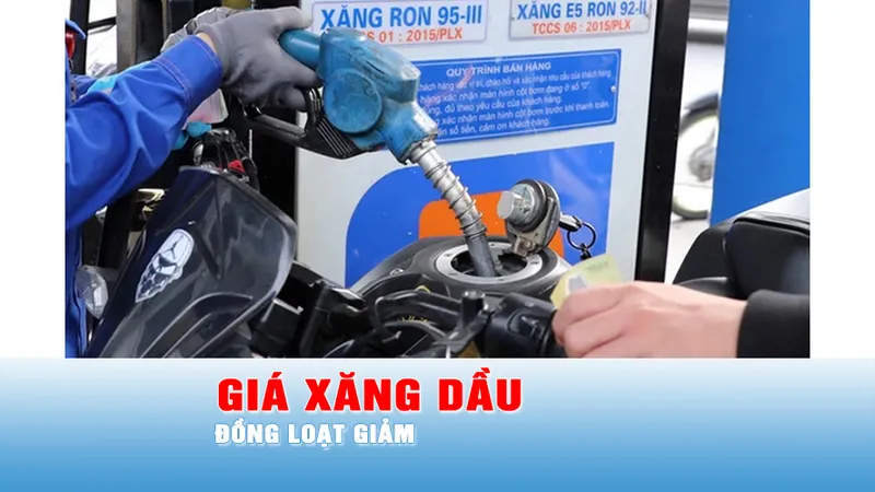 Podcast bản tin chiều 14-5: Giá xăng dầu đồng loạt giảm