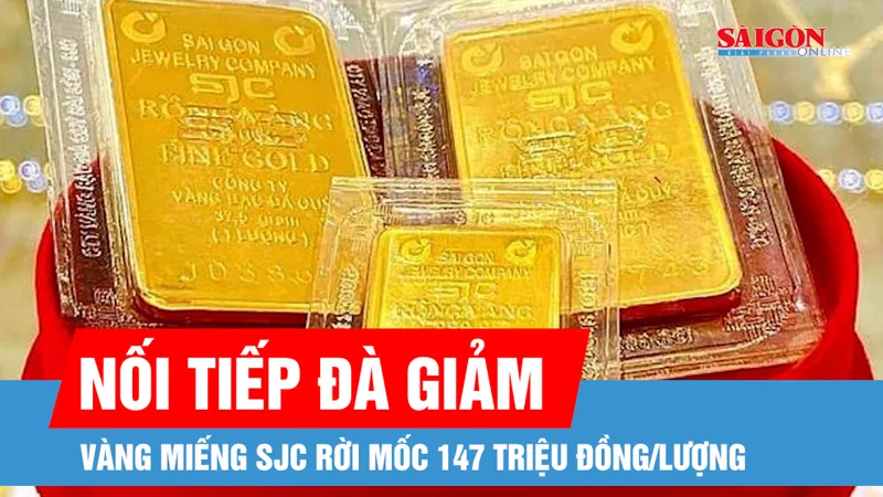 Sáng 1-7, vàng miếng SJC rời mốc 147 triệu đồng/lượng