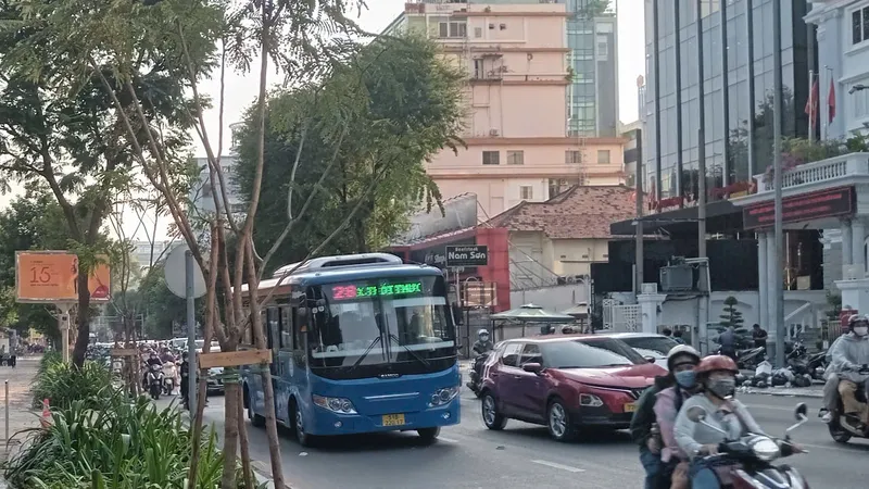 Trồng mới 9 cây lim xẹt trên đường Nguyễn Thị Minh Khai