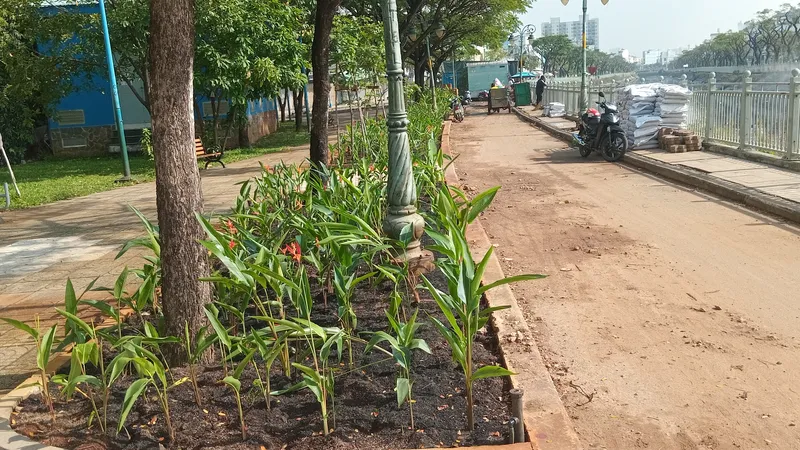 Sau phản ánh của Báo SGGP, Công viên Phạm Văn Chí đã sạch, đẹp