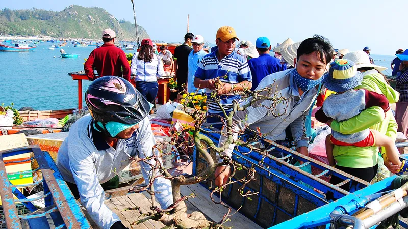 Tết theo những con tàu ra đảo Nhơn Châu