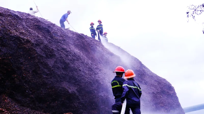 Cháy lớn tại bãi dăm gỗ trị giá trên 100 tỷ đồng