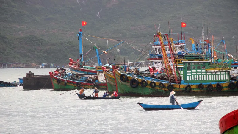 Nhiều tàu cá tại Bình Định tuy nằm bờ nhưng vẫn gửi máy HF (máy thông tin liên lạc tầm xa kết hợp với định vị) ra biển để làm hồ sơ hoàn thành chuyến biển rồi nhận tiền hỗ trợ. Ảnh: NGỌC OAI