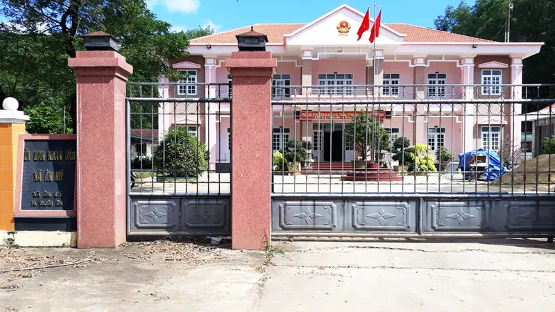 Buộc thôi việc cán bộ địa chính xã sử dụng bằng giả