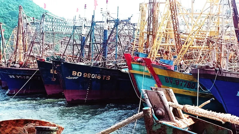 Bao giờ PJICO mới bán được bảo hiểm cho ngư dân?