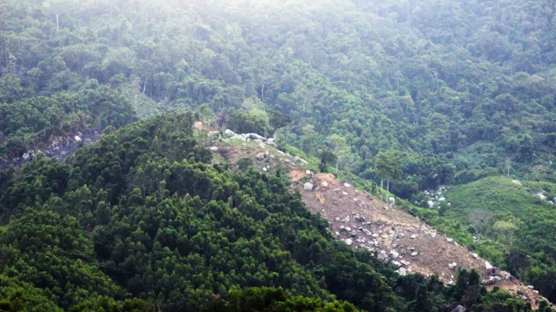 60,9ha rừng bị phá ở An Lão sẽ giao lại cho Bộ Chỉ huy Quân sự quản lý
