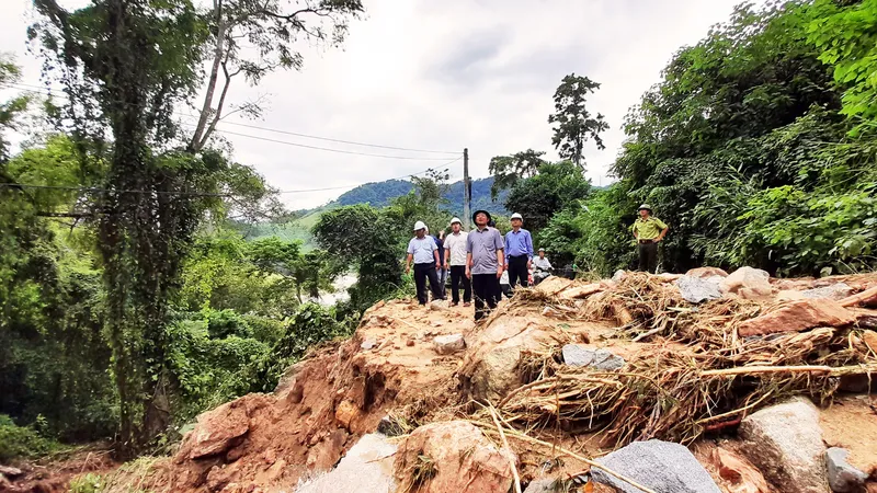 Cần đánh giá kỹ lưỡng tình trạng sạt lở tại huyện miền núi Vĩnh Thạnh, Bình Định