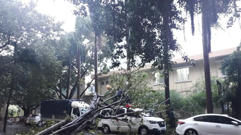Những thiệt hại ban đầu của cơn bão số 12