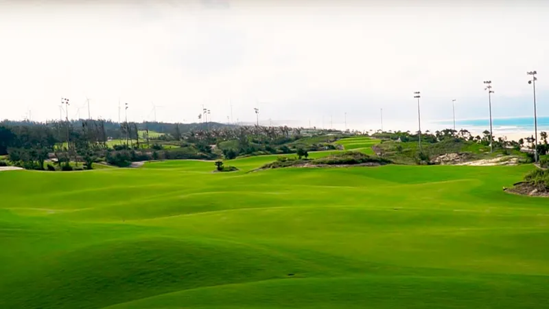 Vụ giám đốc sở, phó cục trưởng đánh golf trong thời gian giãn cách: Tạm đình chỉ Phó Cục trưởng Cục Thuế Bình Định 