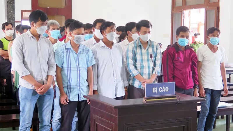 Phá rừng quy mô lớn tại Phú Yên: 24 lâm tặc và 10 cán bộ giữ rừng lãnh án tù