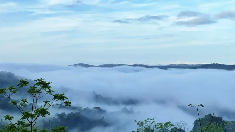 Chủ tịch UBND tỉnh Bình Định chỉ đạo kiểm tra, xử lý thông tin “chặt chém” du khách ở Cổng Trời