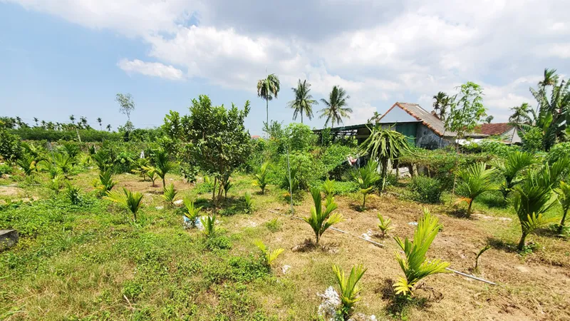 Khốn khổ vì mua nhầm đất tranh chấp 