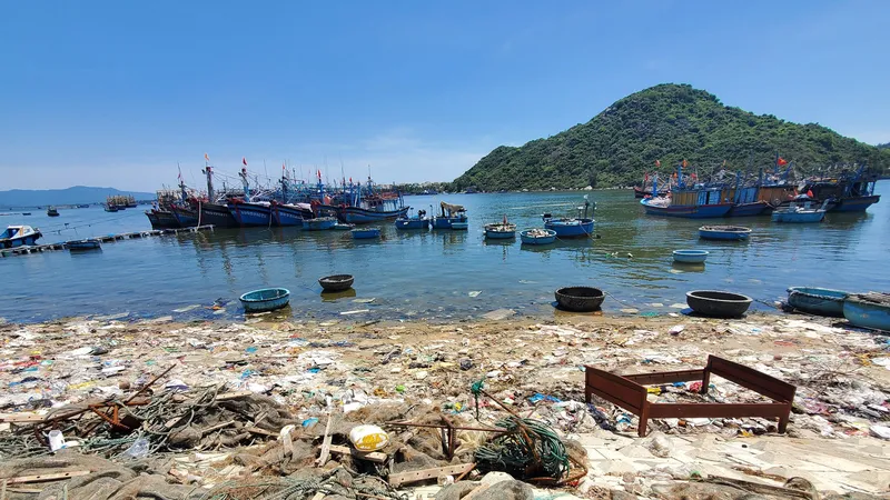 Bình Định kiểm tra, xử lý thông tin Báo SGGP nêu về rác thải biển