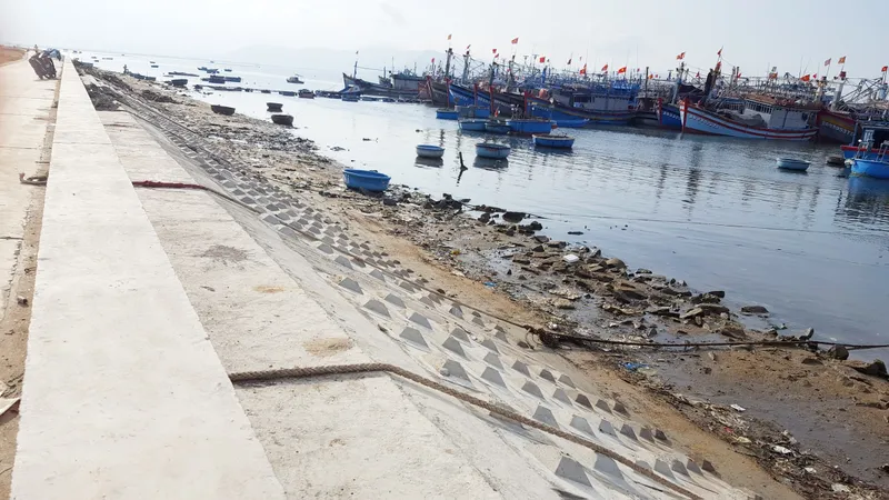 "Hồi sinh" cửa biển sau phản ánh của Báo SGGP
