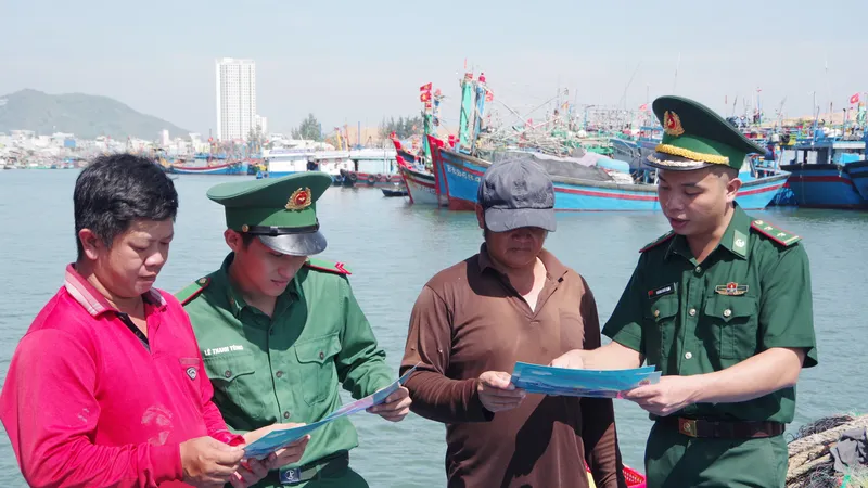 Bình Định: Niêm phong 16 tàu cá, tiếp tục điều tra môi giới đánh cá vượt biên