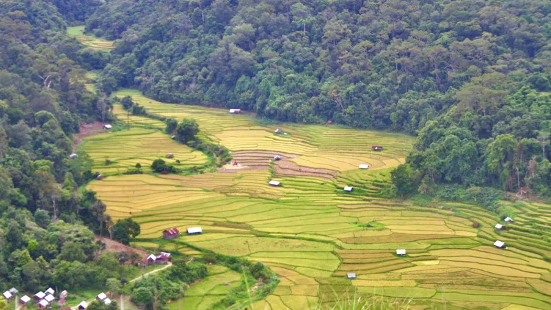 Mê hoặc với vẻ đẹp của Kon Tu Rằng trên cao nguyên Măng Đen
