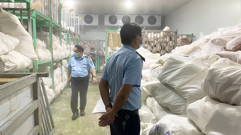 Gia Lai: Phạt 90 triệu đồng cơ sở gom hơn 100 tấn thịt heo không rõ nguồn gốc