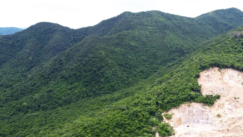 Chuyển đổi hơn 80ha đất rừng để phục vụ 7 dự án tại Gia Lai
