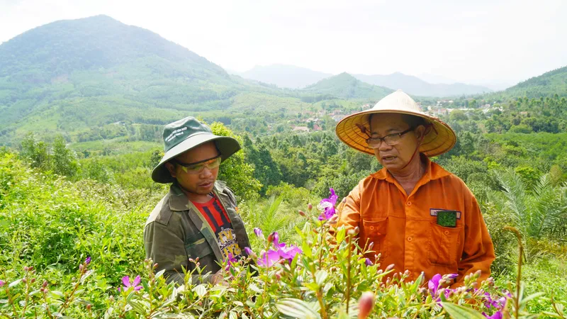 Lão nông thuần hóa rừng sim tím, mở lối du lịch xanh cho người Ba Na