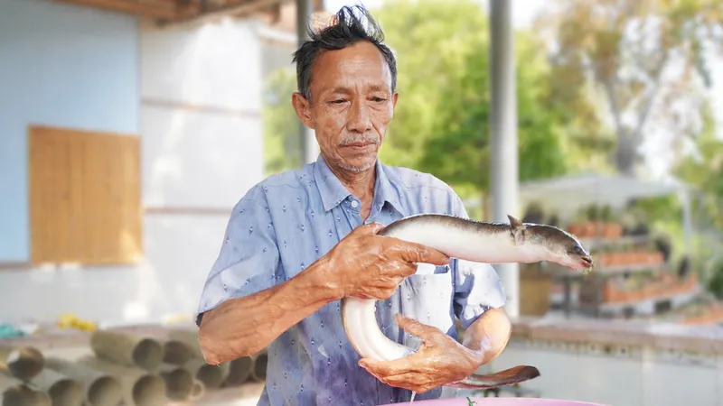 Gầy dựng cơ nghiệp tiền tỷ nhờ nuôi cá chình bằng vi sinh