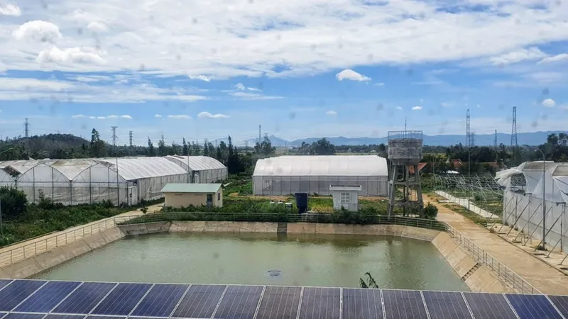 Phú Yên: Nhiều cơ quan “chây ì”, chưa hoàn thành khắc phục tiền sai phạm
