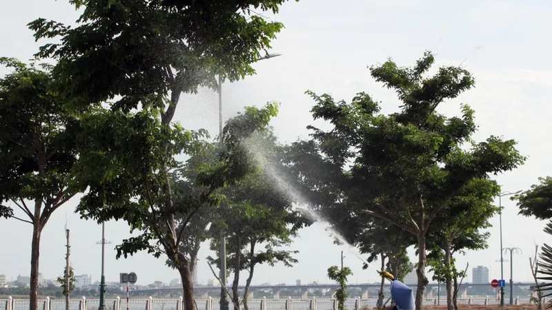 Phú Yên khẳng định các dự án trồng, chăm sóc cây xanh thực hiện đúng quy định