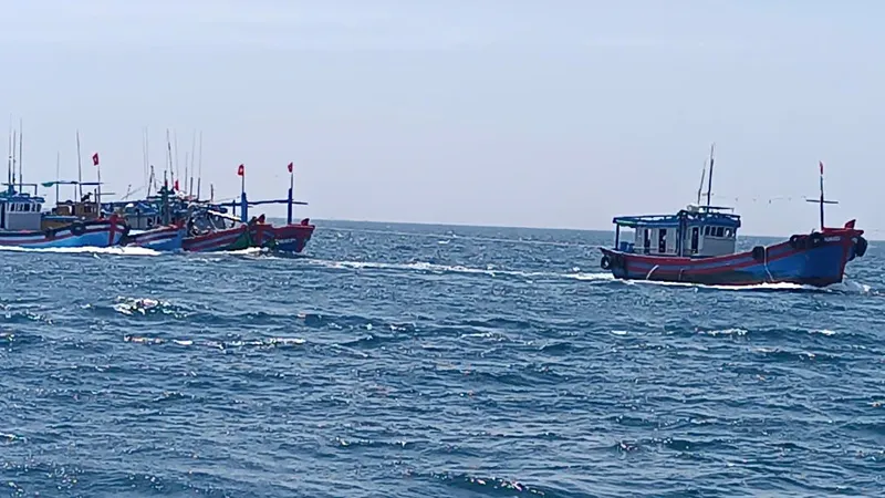 Đề nghị không cho xuất cảng một tàu hàng để phục vụ công tác điều tra 